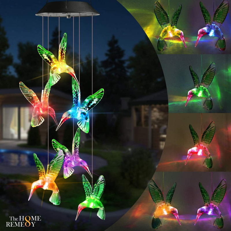 Solar Hummingbirds Chime